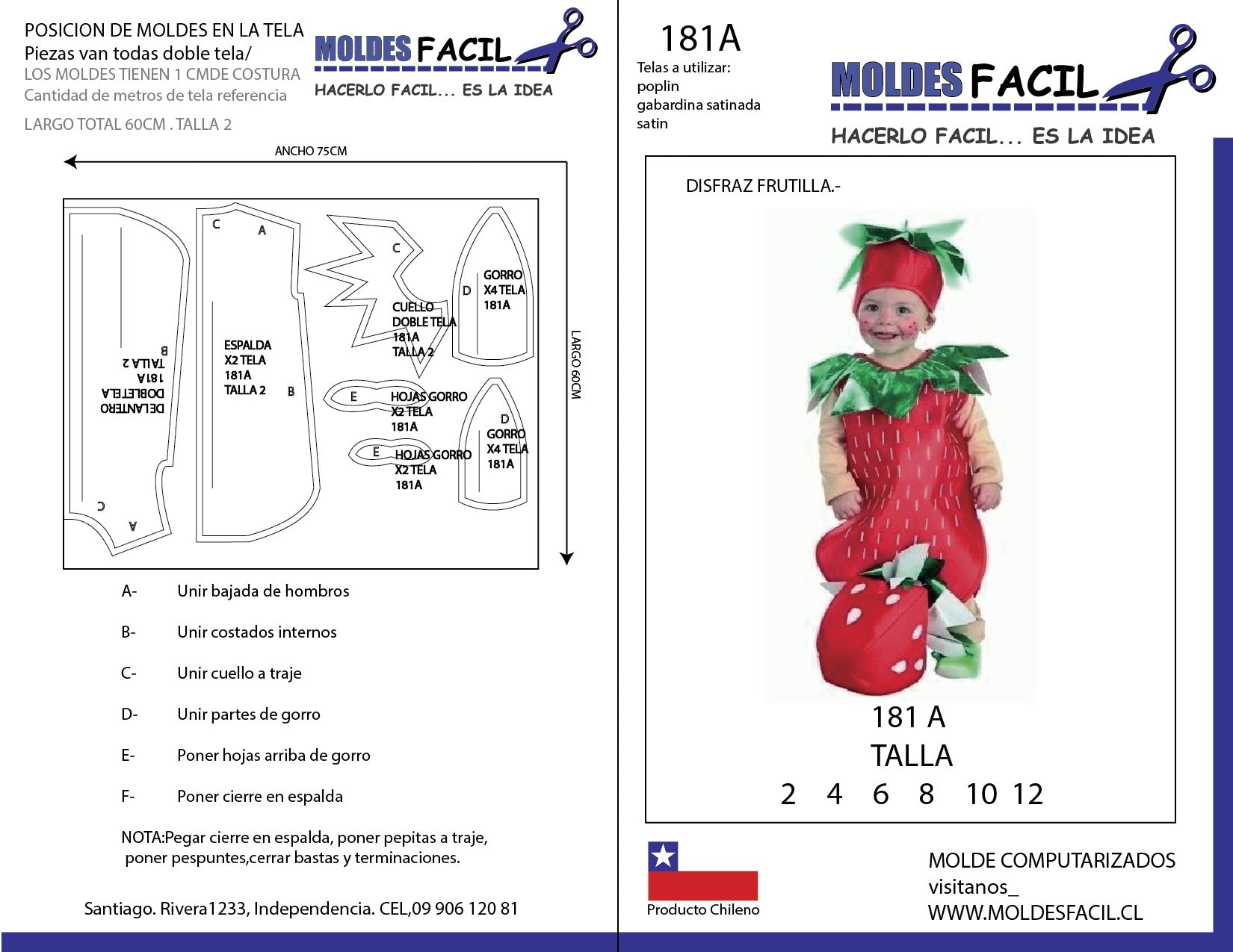 Disfraz de frutilla