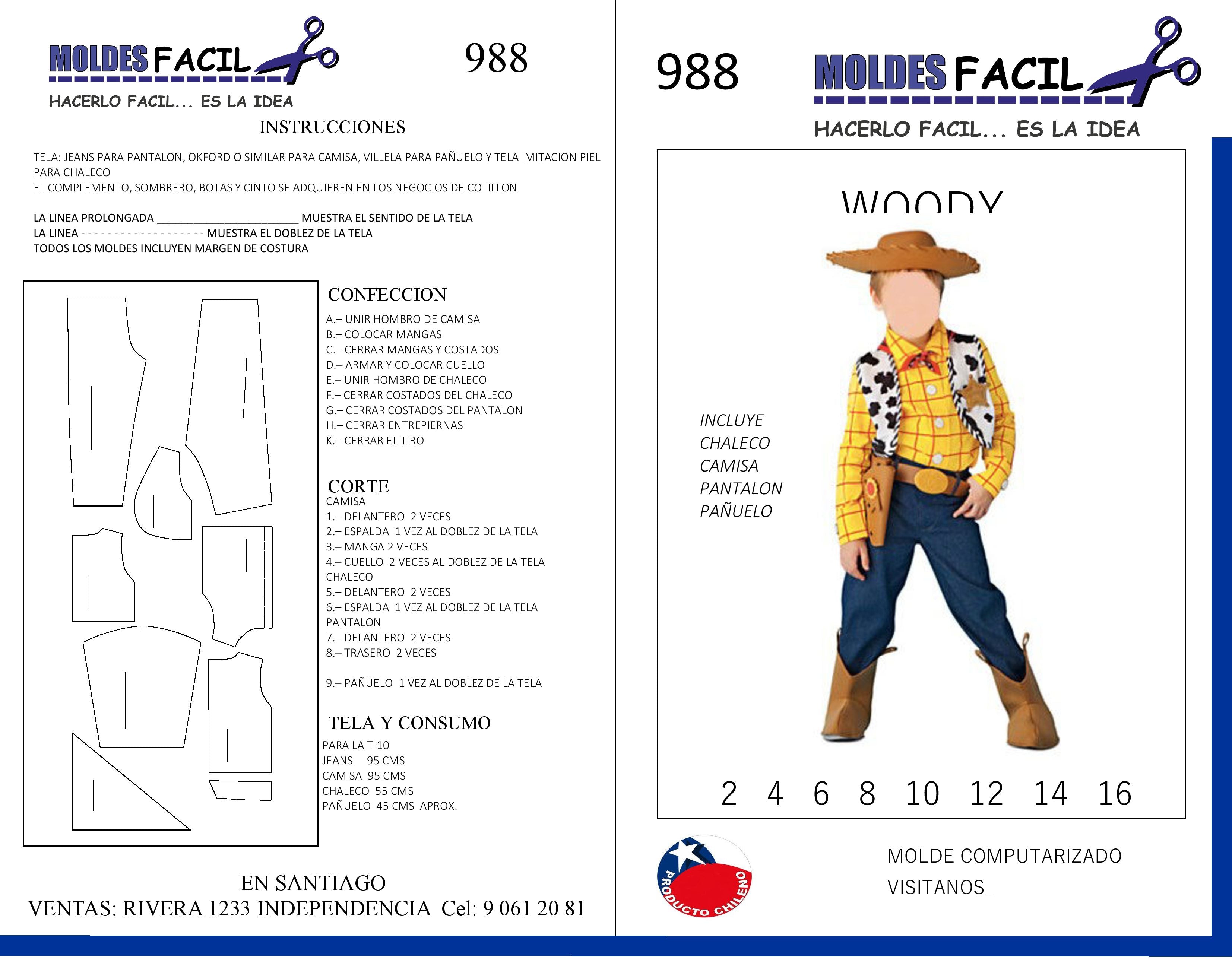 Woody Toy Story